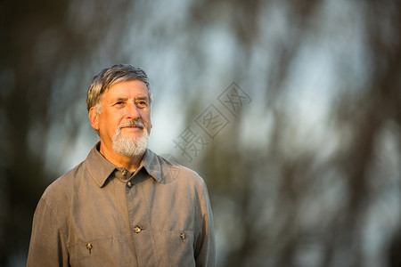 户外一个老人的肖像享受灰色外貌水平森林寂寞阳光老年背景公园背景图片