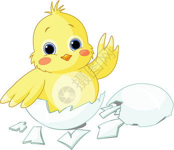 鸡卡通片小鸡艺术绘画免版税标识邀请函卡片夹子孵化背景图片