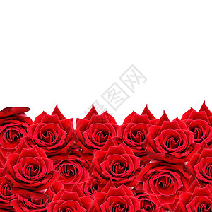红玫瑰花瓣礼物婚礼纪念日玫瑰植物周年花束背景图片