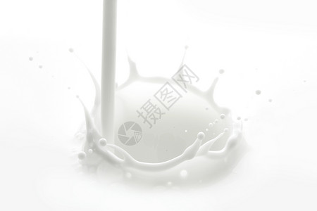 喷洒奶水白色飞溅产品酸奶宏观液体奶油奶制品营养运动背景图片