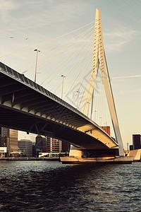 伊拉斯谟伊拉斯穆斯桥 鹿特丹 荷兰南荷兰建筑天空市中心旅行建筑学地标天际日出背景