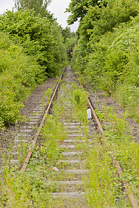 旧铁路轨道曲目架子退役森林树木路径交通杂草火车地面背景图片