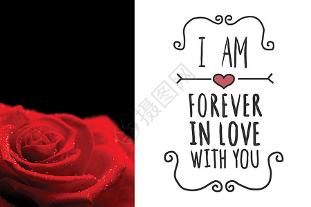 黑色背景的红玫瑰复合图象露滴雨滴恋爱情人玫瑰粉色花瓣背景图片
