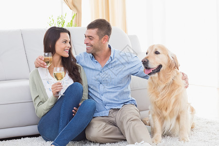 夫妇在与狗同坐时持有葡萄酒杯白酒家庭生活房子客厅女士微笑快乐沙发宠物女性背景图片