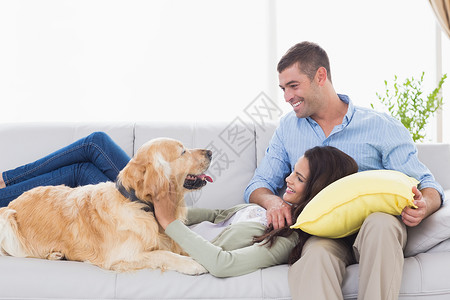 和狗在沙发上背景图片