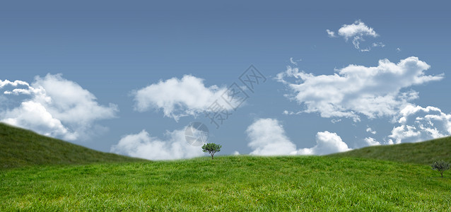 字段和天空场地蓝色绿色空间草地开放农村风景背景图片