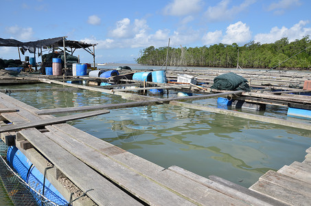 Kelong 离岸平台 主要用木鱼建造木头旅行渔夫钓鱼环境晴天海岸背景图片