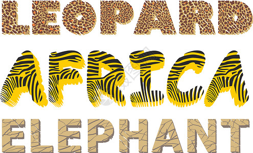 案文中的豹 斑马和大象纹理背景图片