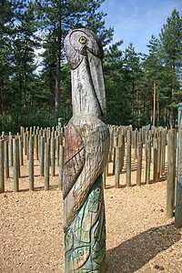 鸟图腾图腾极雕刻艺术雕塑木头雕像精神部落公园木工工匠背景