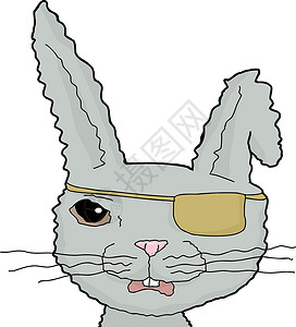 灰色海盗兔背景图片