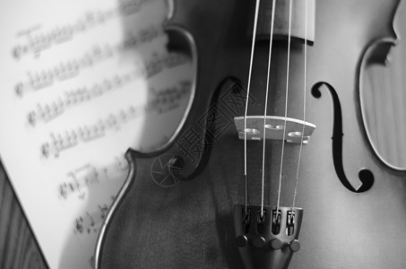 黑白小提琴音乐交响乐大提琴仪器中提琴黑色细绳艺术乐队黑暗背景图片