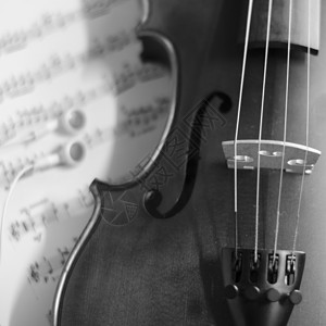 黑白小提琴大提琴中提琴黑暗艺术仪器乐队乐器细绳音乐会黑色背景图片