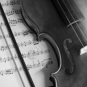黑白小提琴乐队乐器黑暗黑色音乐交响乐仪器艺术细绳大提琴背景图片