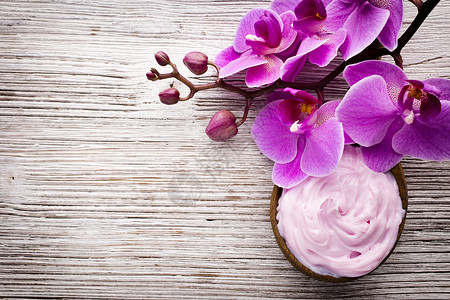 粉红兰花花瓣对象温泉粉色场景热带植物花朵兰花背景图片