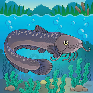 大口鲶鱼淡水鱼专题图2插画
