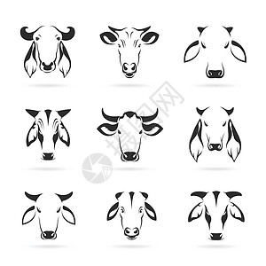 加瓦尔白色背景的牛头矢量插画