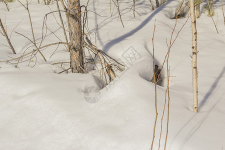 健康生活方式微笑太阳帽子情绪气质两极眼镜空气滑雪板气候背景图片