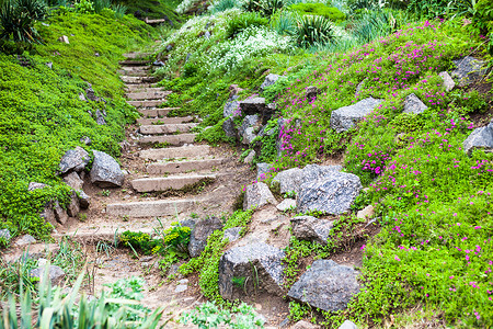 塑石假山绿色花园中的石 Stony 楼梯人行道爬坡踪迹小路衬套假山杂草高山植物群途径背景