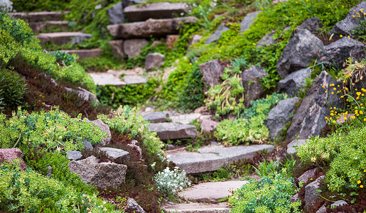 手绘假山石绿色花园中的石 Stony 楼梯爬坡脚步踪迹园艺花坛人行道衬套杂草小路岩石背景