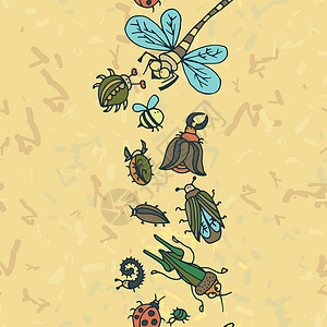 可爱的卡通昆虫边界图案 夏季概念背景墙纸卡通片蝴蝶场地绘画漏洞甲虫动物纺织品装饰品背景图片