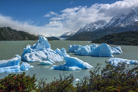 恩戈祖姆帕冰川智利帕蒂戈尼亚灰湖的冰山风景旅游旅行支撑海岸线灰色冰川荒野背景