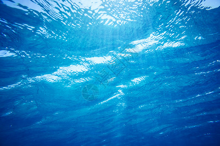 水底背景液体假期天堂射线晴天海洋太阳阳光波浪热带背景图片