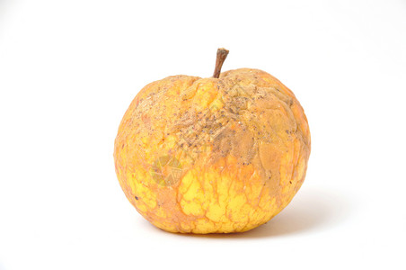 旧皱纹苹果黄色摄影棕色水果背景图片