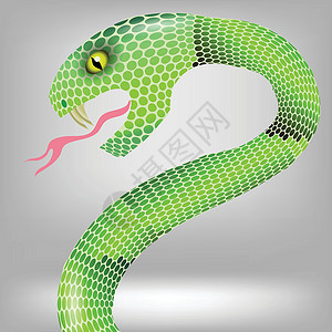 随地吐痰绿蛇数字毒液侵略罢工荒野热带野生动物生活毒蛇螺旋设计图片