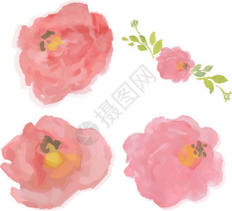 水彩色 面粉玫瑰背景图片