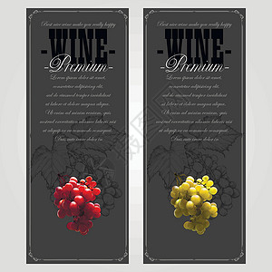 葡萄城堡一套葡萄酒标签装饰酒精框架城堡红色蓝色玻璃餐厅艺术藤蔓插画