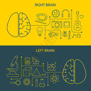 左脑和右脑功能概念设计图片