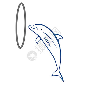 上海之鱼跳跃海豚哺乳动物动物群绘画飞跃海洋载体卡通片乐趣动物学微笑设计图片