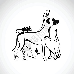 头目向量组的宠物朋友们猎犬鹦鹉小猫老板兔子蝴蝶动物绘画犬类插画