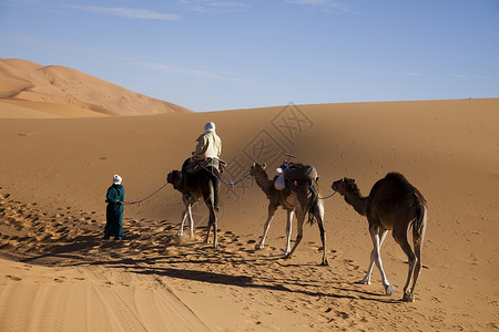阿尔及利亚沙漠沙沙 多彩的充满活力的旅行主题全景橙子闷热黄色勘探干旱口渴探险家太阳沙丘背景