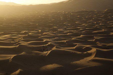 阿尔及利亚沙漠沙丘 多彩的充满活力的旅行主题勘探寂寞干旱阴影黄色闷热橙子太阳红色探险家背景