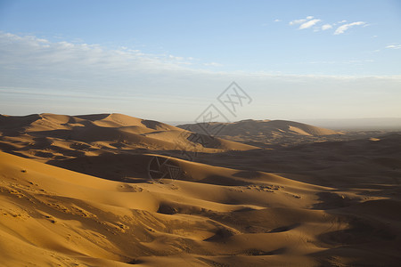 阿尔及利亚沙漠沙丘 多彩的充满活力的旅行主题闷热全景寂寞干旱探险家黄色口渴太阳橙子勘探背景