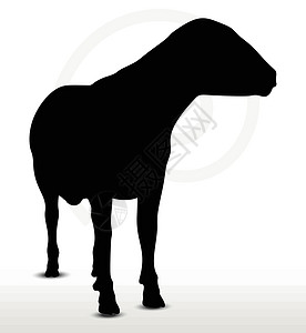 牵着牛长着外观姿势的绵羊背影害群背光剪贴草图黑色冒充绘画白色插图表情设计图片