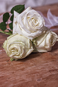 白玫瑰花新娘衰变树叶植物群静物情怀白色回忆棕色木头背景图片
