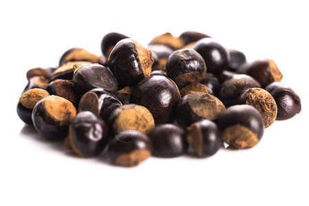 瓜拉纳种子木头香料勺子热带咖啡精力植物榛子人心活力高清图片