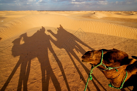 萨哈拉沙漠的日出背景图片