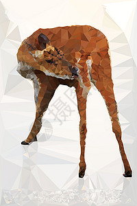 鹿尾巴低多米鹿几何三角形猫科阴影尾巴皮肤马赛克鹿角野生动物艺术插图设计图片