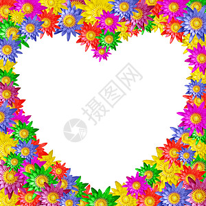 彩色莲花花的心形热带生活荷花花束生长宗教草地叶子池塘植物背景图片
