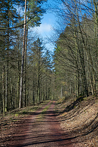 德国图鲁根森林背景图片