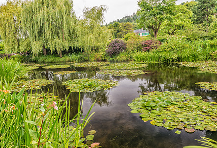 莫奈的园圃 在被倾覆的日子房子花朵花园旅游绘画池塘艺术画家旅行印象派背景图片