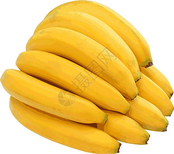 生食白色背景上孤立的香蕉群 Vector 插图i宏观水果香蕉安全照片皮肤小吃健康饮食食物饮食设计图片