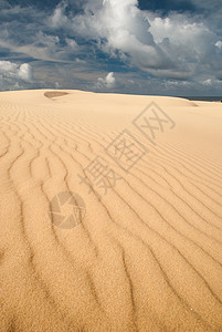 阿尔及利亚沙丘和海景沙丘沙漠爬坡阴影海浪海洋荒野土地勘探日光丘陵背景