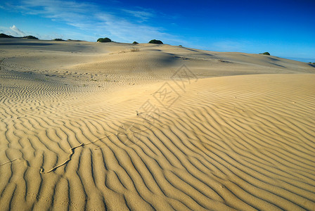 沙沙的形态和线状背景图片