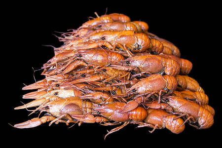 许多龙虾癌症红色煮沸动物食物两栖背景图片