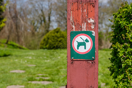 禁止带火种带皮条的狗背景
