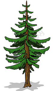 隐藏树生长植物云杉绿色手绘木头卡通片树干森林松树背景图片